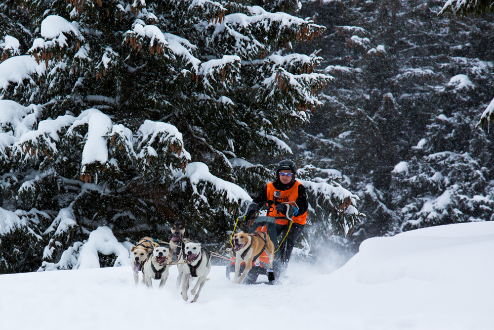 Stefan Klughammer (1)